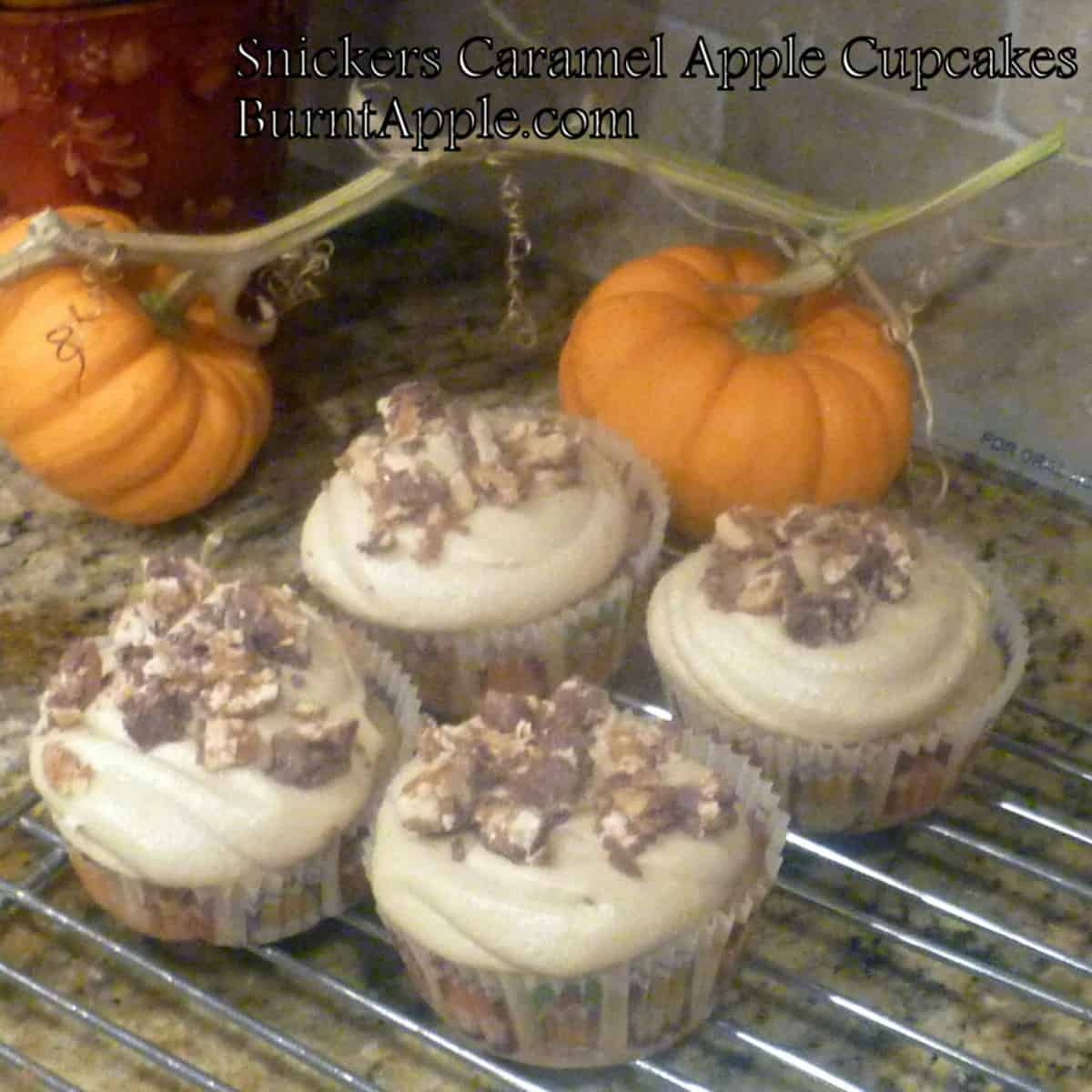 A round cupcake with a brown caramel frosting and topped with a Snickers bar and a caramel candy apple. The cupcake is decorated with crushed Snickers bar pieces and caramel sauce drizzle.