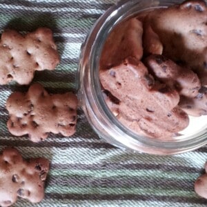 chocolate chip graham cracker cookies are in the shape of teddy bears and arranged in a mason jar.