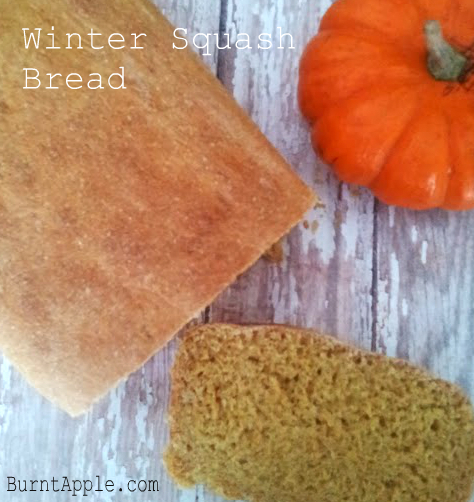 winter squash bread