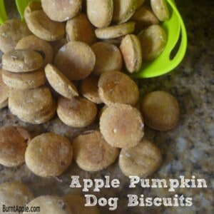 a photo of round apple pumpkin dog treats spilling out of a dog treat basket
