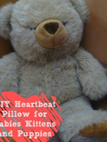 a photo of a stuffed animal. the animal is a tutorial for a do it yourself heartbeat pillow for babies, young children, puppies and kittens