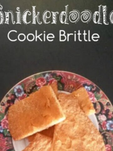 snickerdoodle cookie brittle on a colored plate with a black background