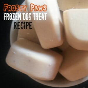 The image shows a bowl of frozen dog treats in various shapes and sizes. The treats are made with fruits, vegetables, and yogurt, and they are decorated with peanut butter