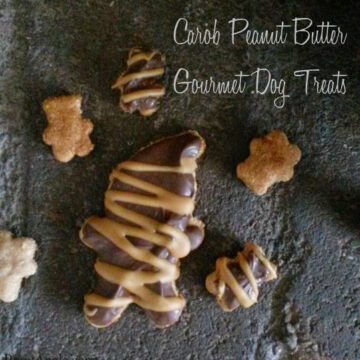 gourmet dog treats recipe