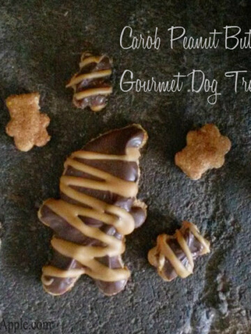 gourmet dog treats recipe with oats, egg, peanut butter and carob. each cookie is drizzled with peanut butter or dipped in carob