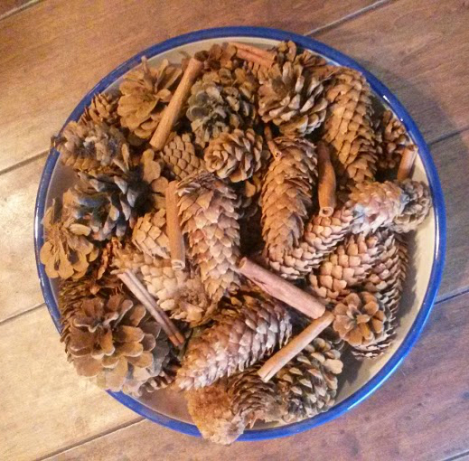 cinnamon pinecones