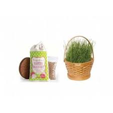 easter grass kit