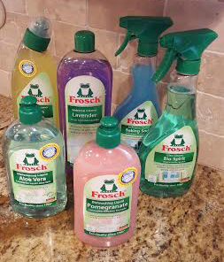 frosch cleaning products
