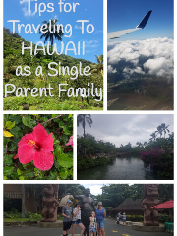 hawaii single parent