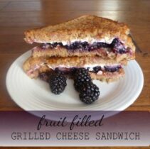 fruit grilled cheese