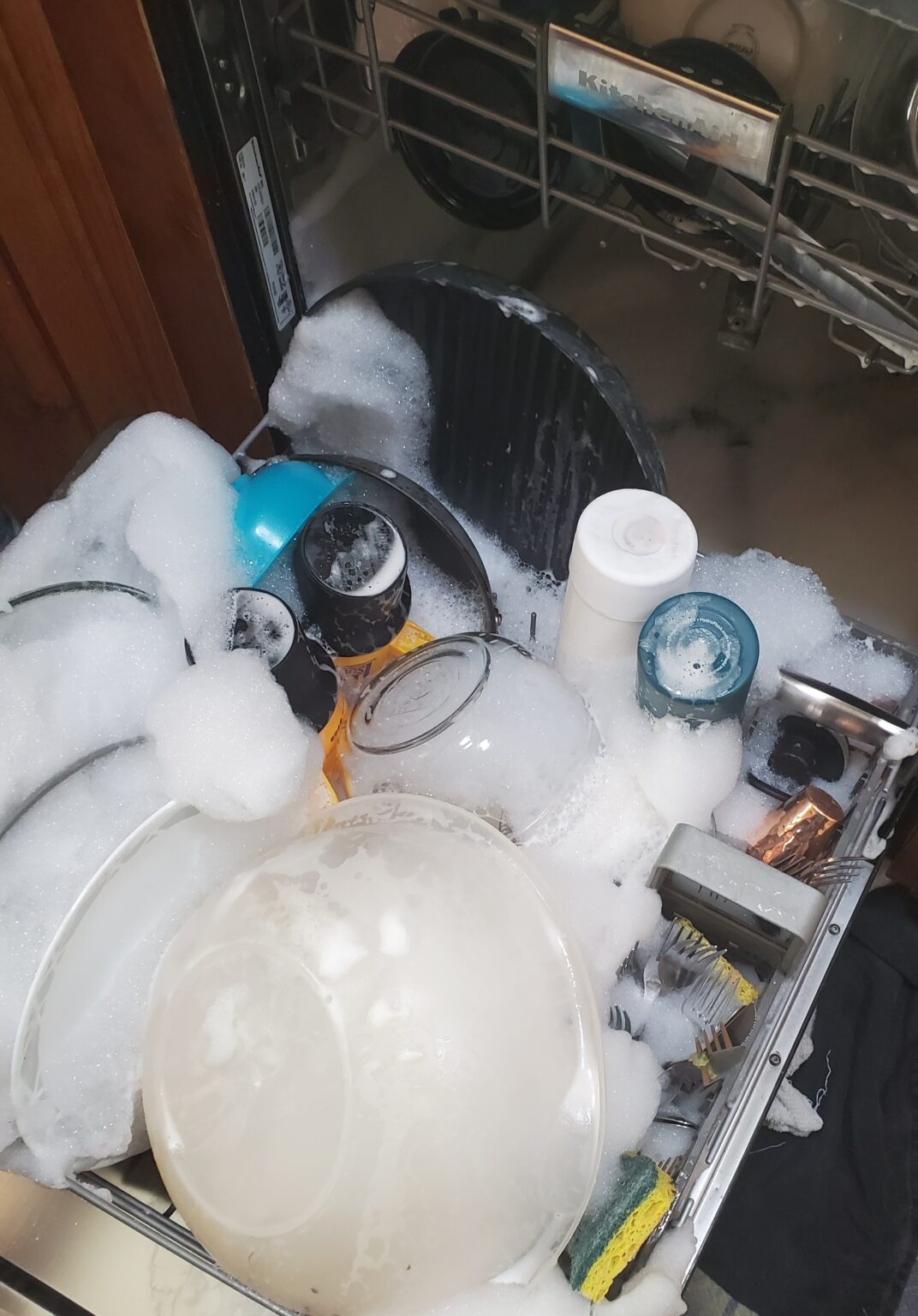 Burnt Moment Dishwasher FAIL! Burnt Apple