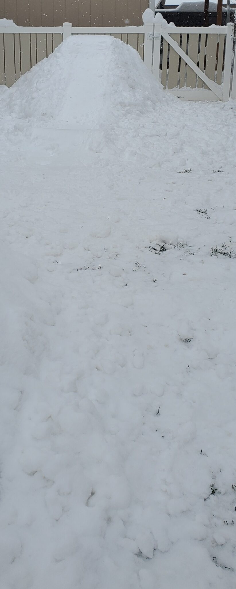 Bundt Pan Cinnamon Rolls