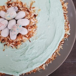 how to make a coconut cake with a single-layer cake with toasted coconut chips on top