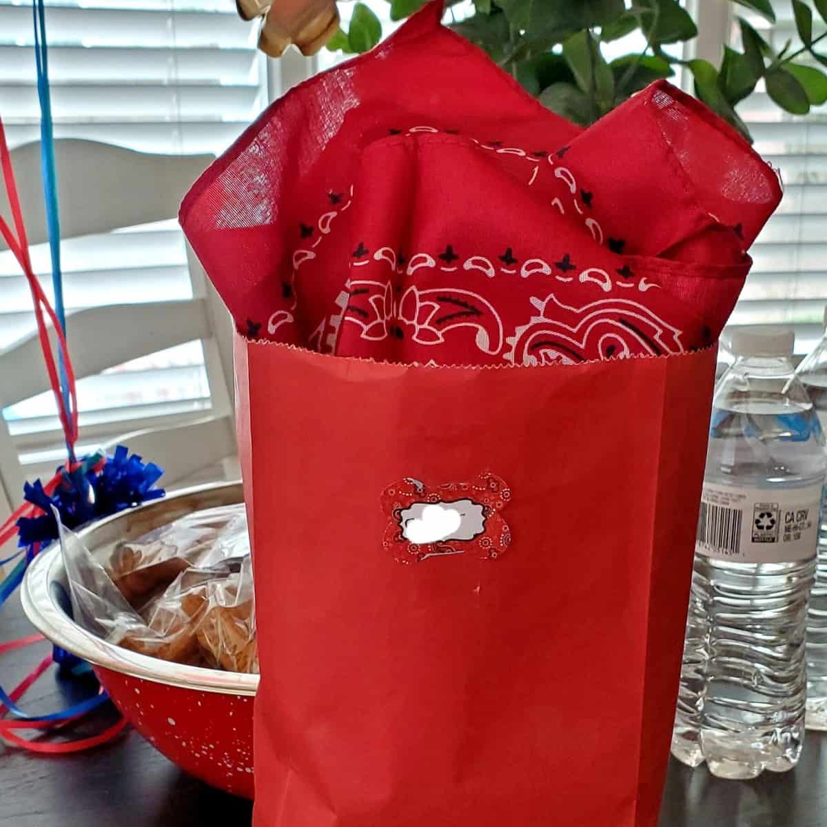 charlie the ranch dog party favors with red bandana and treats