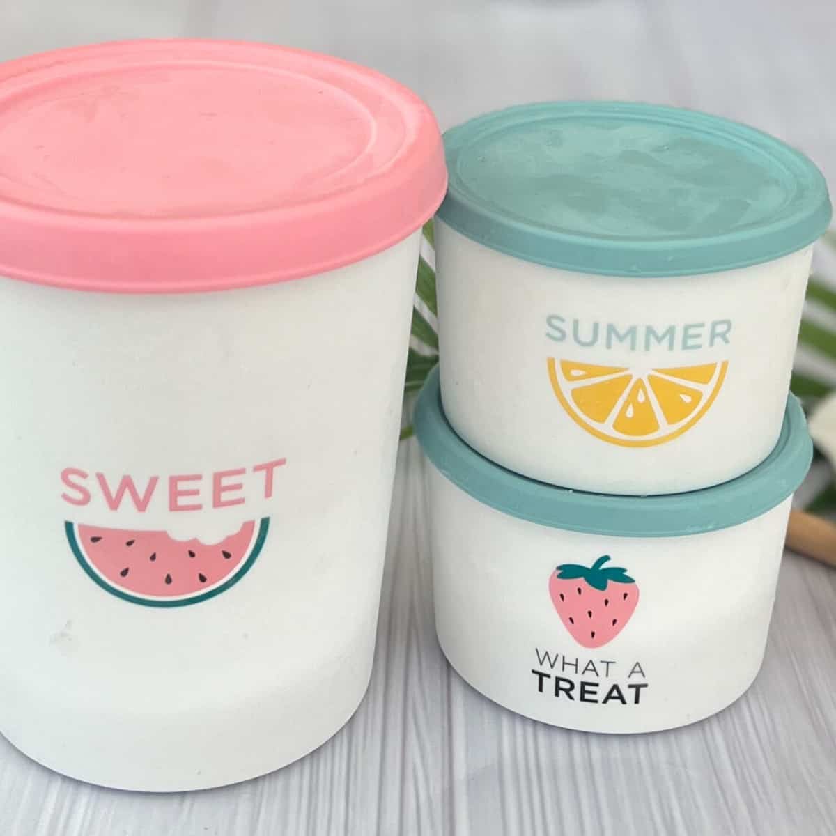 ice cream containers for freezing homemade ice cream