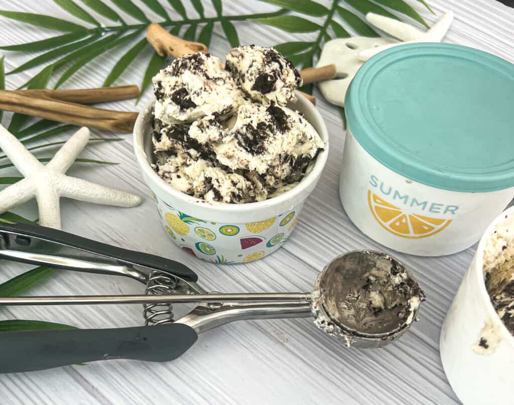 a picture of dairy free ice cream. The ice cream is creamy and rich. it is plant based lactose free and vegan ice cream. a freezer safe ice cream container and ice cream scoop is pictured. 