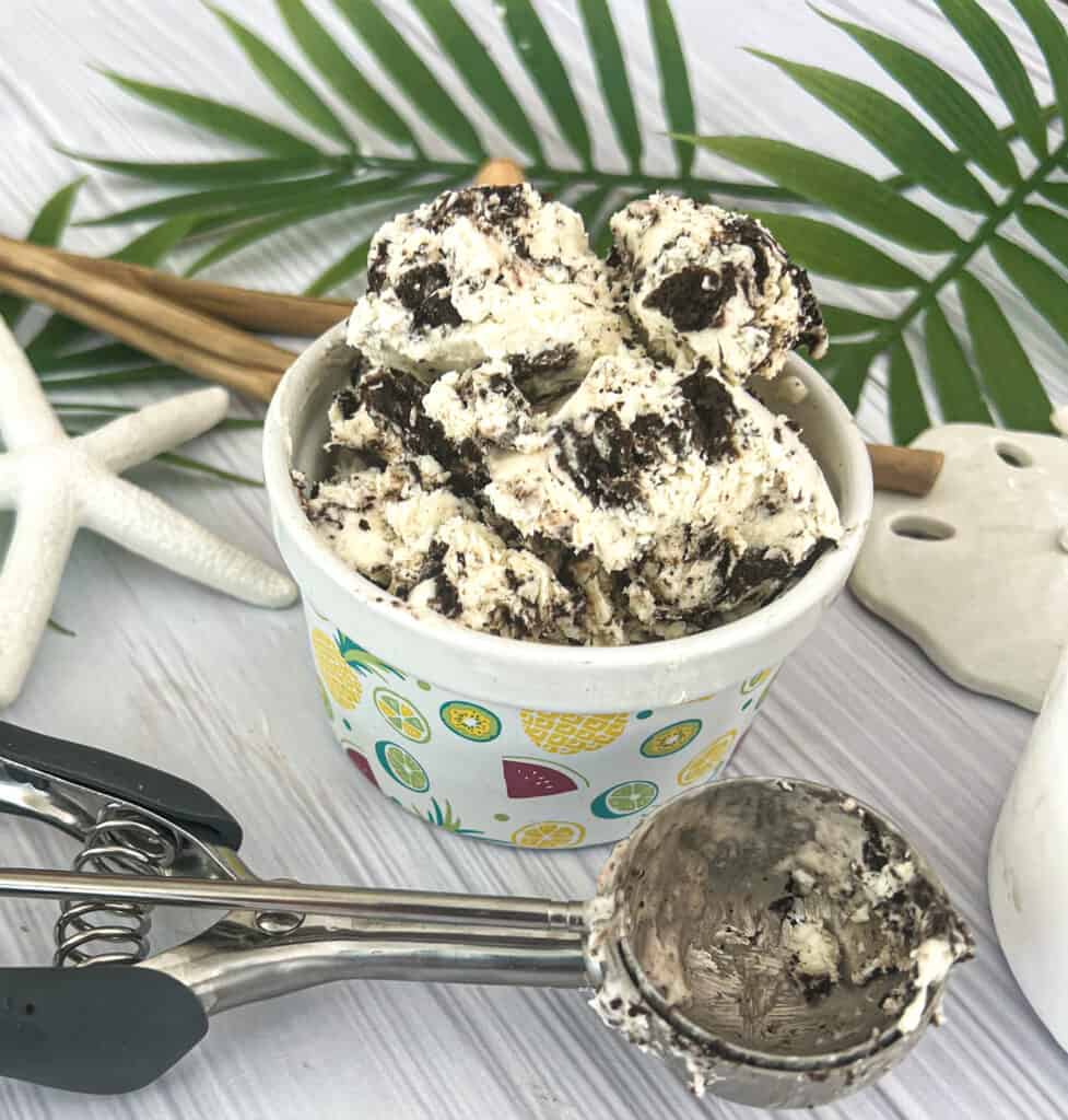 a picture of a creamy no churn dairy free ice cream. the ice cream is in a bowl. the ice cream is lactose free dairy free plant based and vegan. 