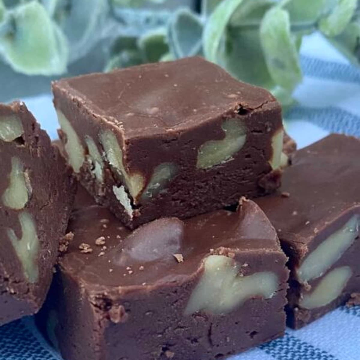 A close-up photo of a stack of See's fudge squares of decadent, dark chocolate fudge. The fudge has a smooth, slightly glossy top and is generously scattered with chopped walnuts. The dark color of the fudge is contrasted by a white napkin visible underneath. This recipe can be made as a dairy free fudge recipe.