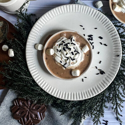 Copycat Alton Brown Dairy Free Hot Cocoa Mix Recipe Burnt Apple