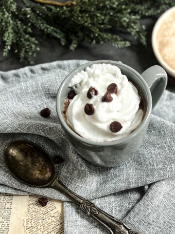 dairy free chocolate chip hot cocoa