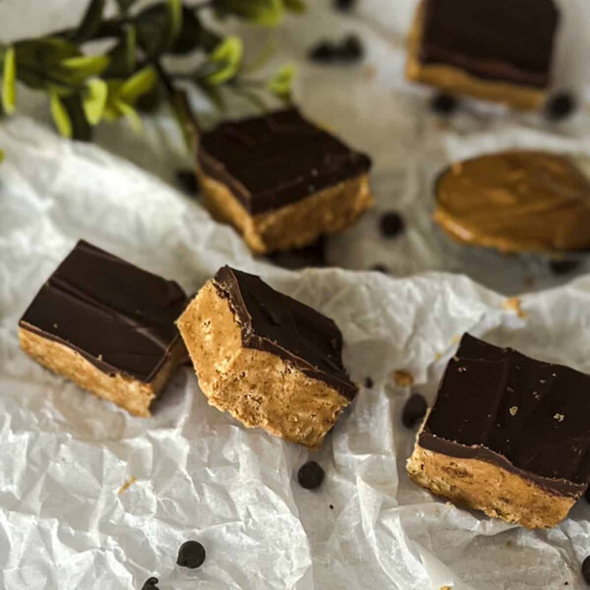  A close-up of a plate of peanut butter protein powder bars. The bars are golden brown in color and have a slightly textured surface. The bars are topped with chocolate chips.
