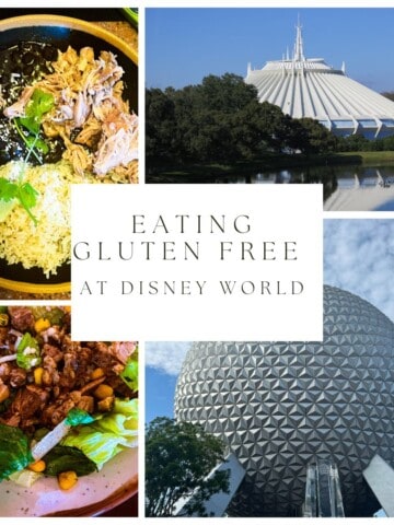 a picture of disney world and the epcot center. several gluten free food dishes are shown from inside the park.