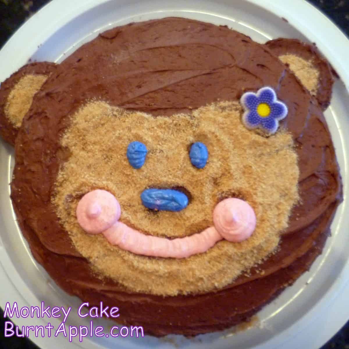 A round cake with a monkey-shaped face made of brown frosting and graham cracker crumbs. The cake has two purrple frosting eyes, a pink nose, and a mouth made of pink frosting.