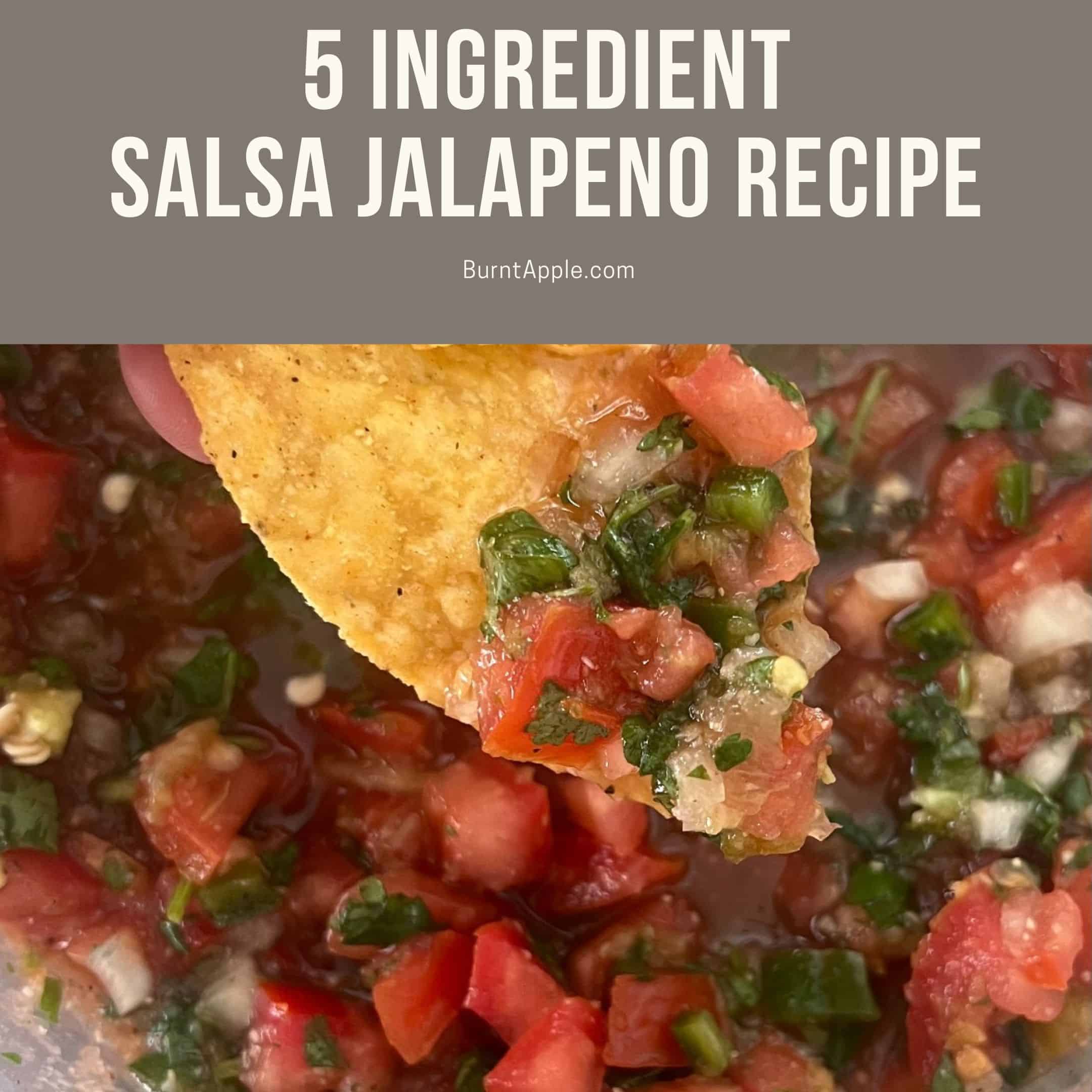 5-ingredient-salsa-jalapeno-recipe-burnt-apple