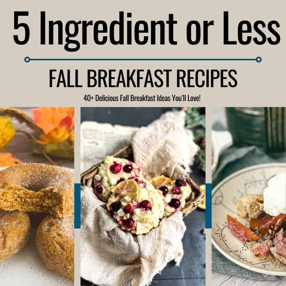 A book cover titled "5 Ingredient or Less: Fall Breakfast Recipes" featuring three images: a plate of cinnamon sugar donuts, a basket of cranberry orange cookies, and a bowl of apple crisp with whipped cream. The author is Traci Sanchez and the website is BurntApple.com.